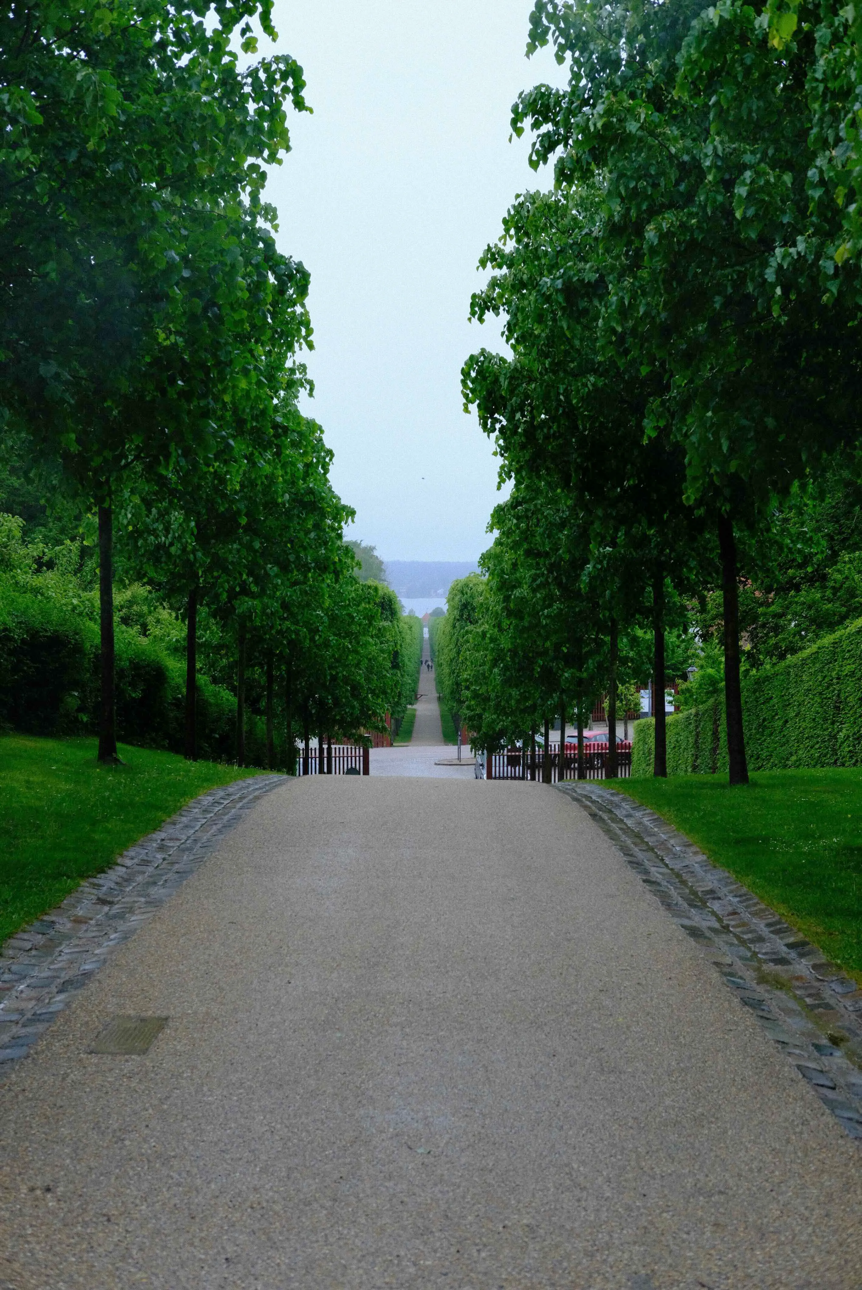 cph3