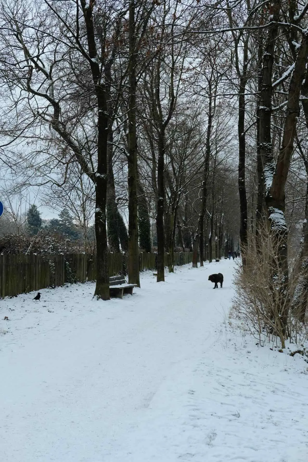 munich-snow