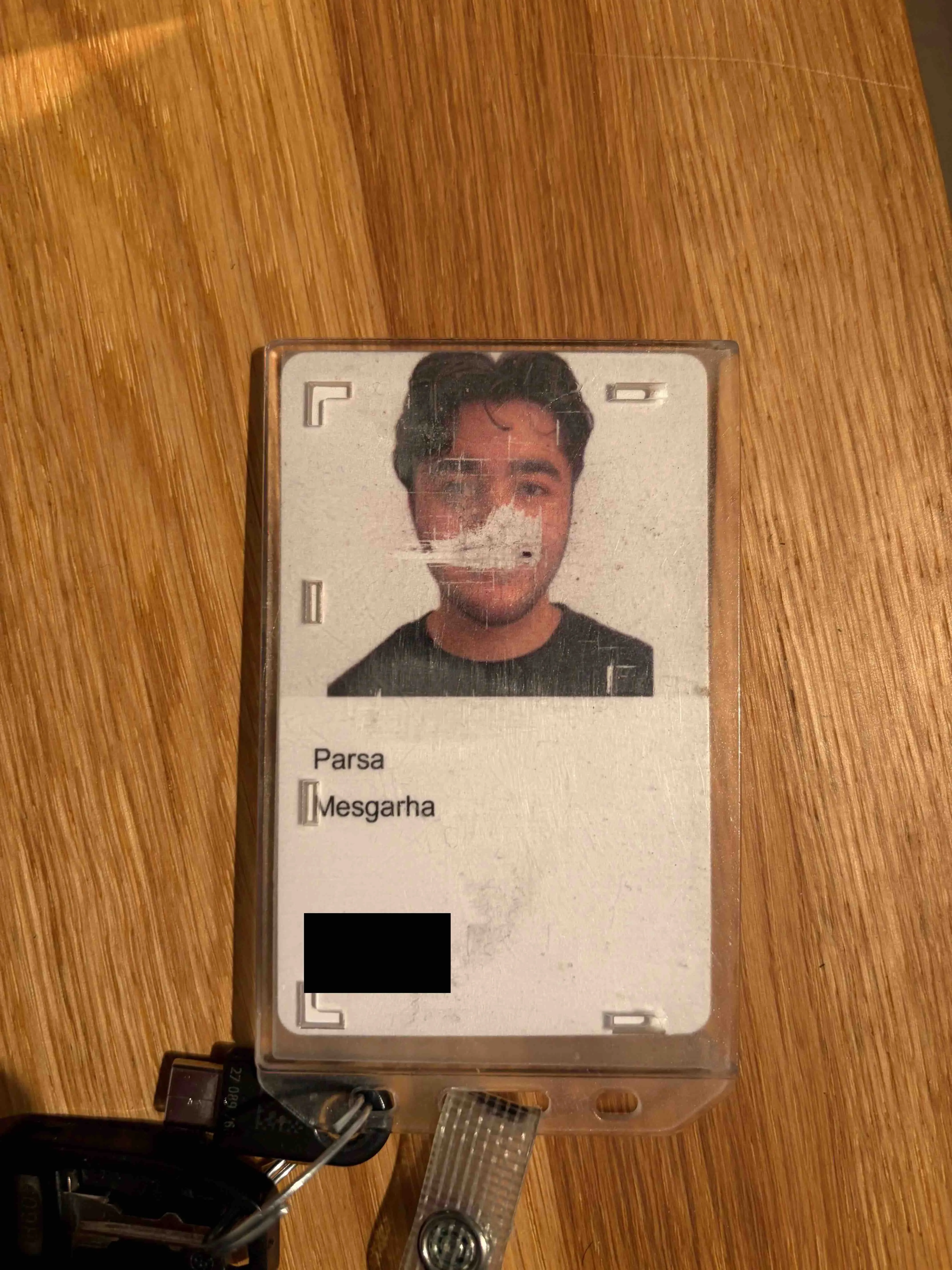 Leaving Tesla to work on robotics