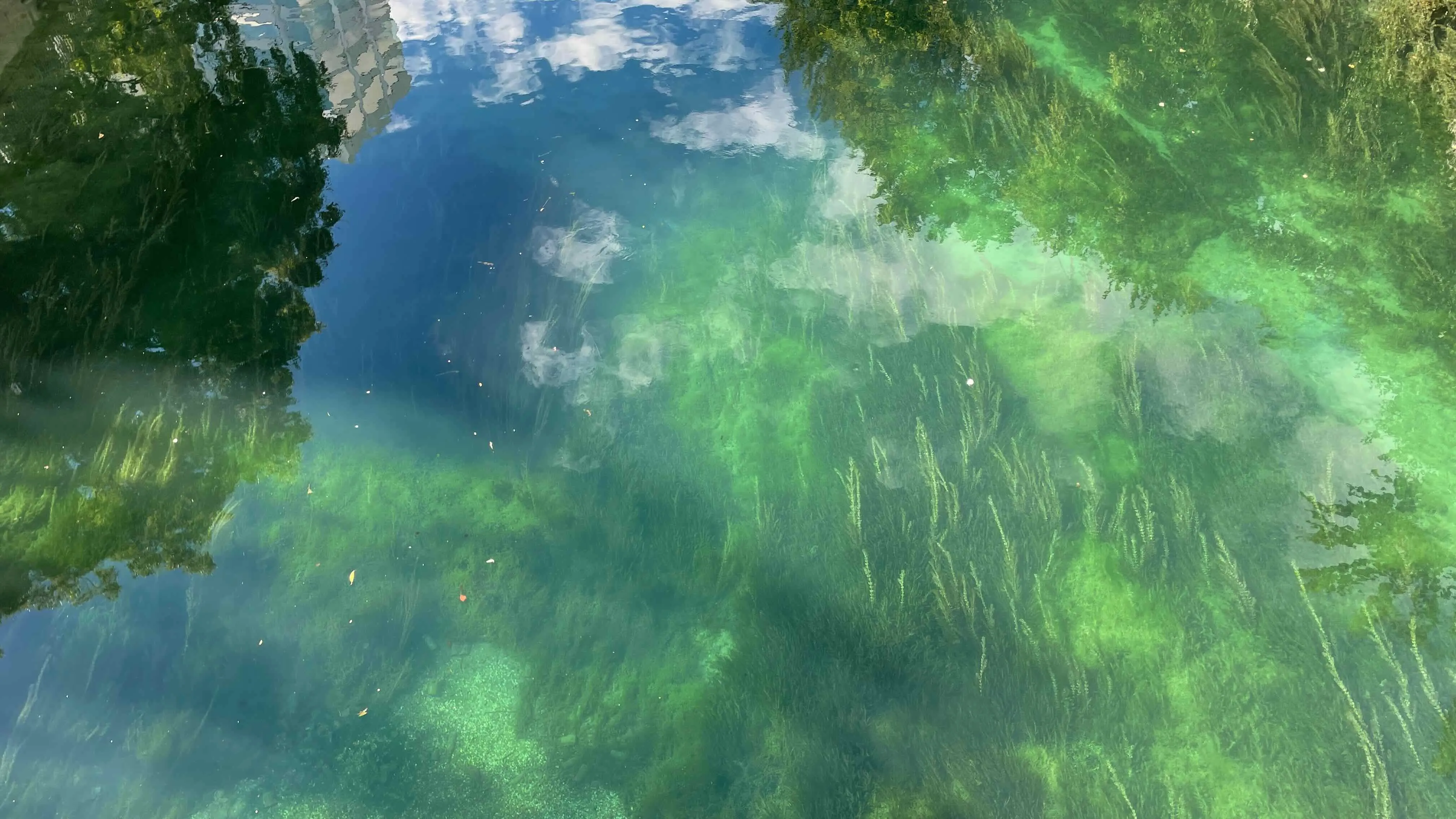 Water in Zurich Water in Zurich